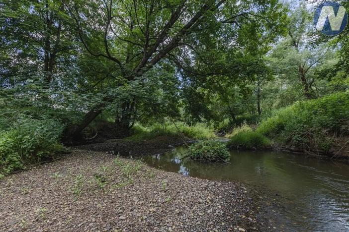 Prodej rybníku, Planá, 1939 m2