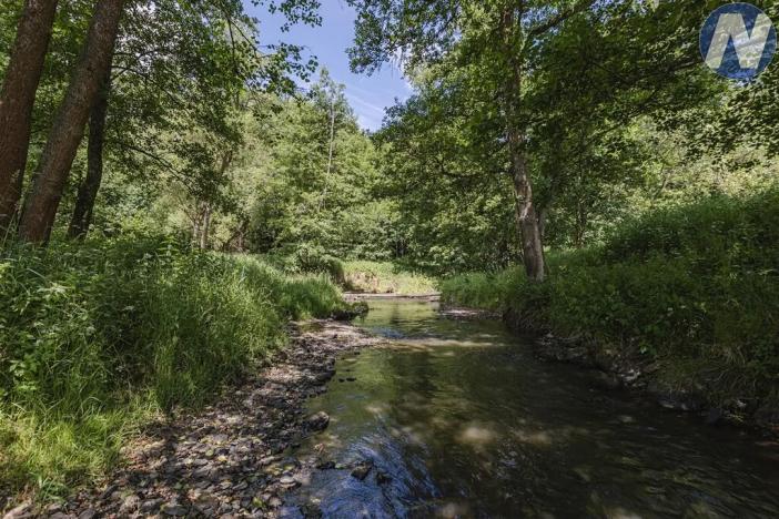 Prodej rybníku, Planá, 1939 m2