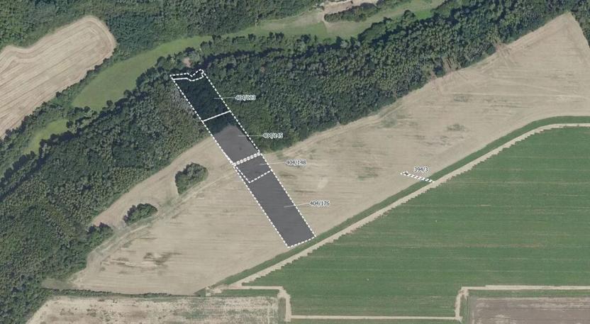 Prodej lesa, Vyšehořovice, 19741 m2