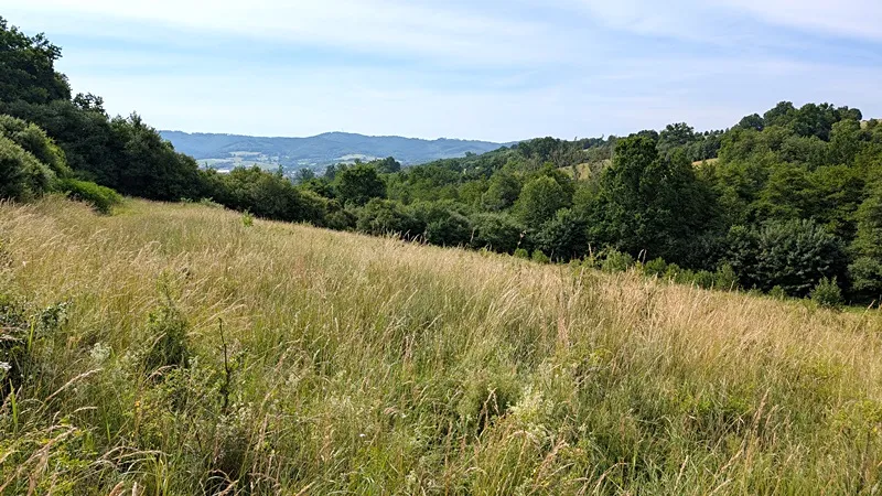 Prodej pozemku, Vizovice, 32591 m2