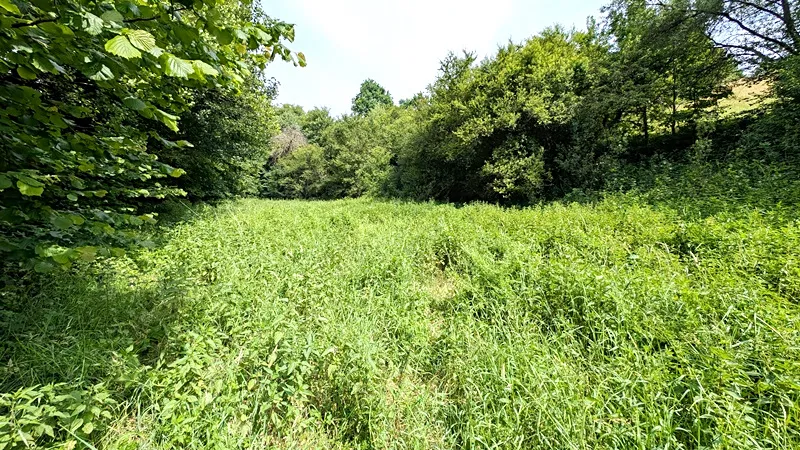 Prodej pozemku, Vizovice, 32591 m2