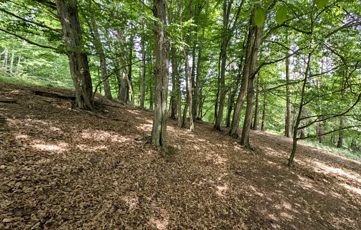 Prodej pozemku, Vizovice, 32591 m2