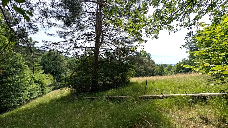 Prodej pozemku, Vizovice, 32591 m2