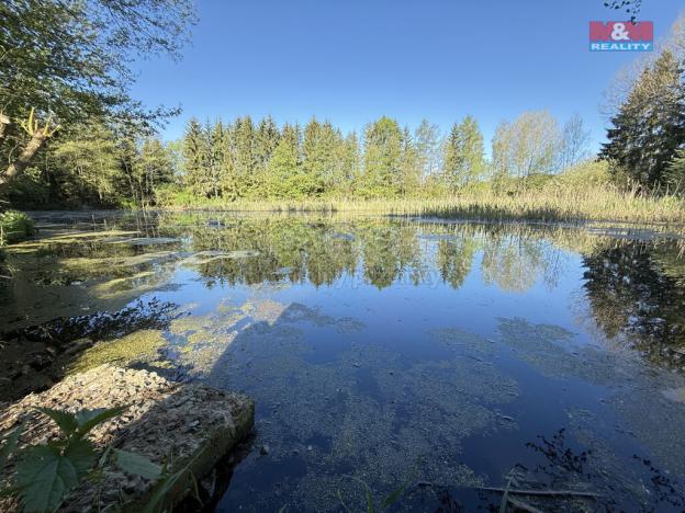 Prodej rybníku, Rychnov nad Kněžnou - Lipovka, 5965 m2
