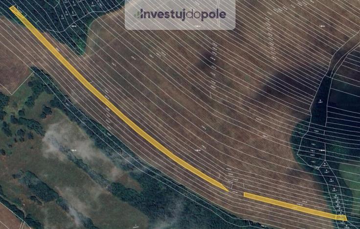 Prodej pole, Popovice, 6081 m2