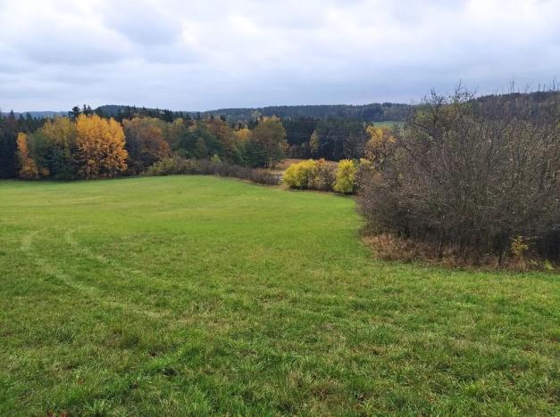 Prodej - jiné, Bílá, 9724 m2