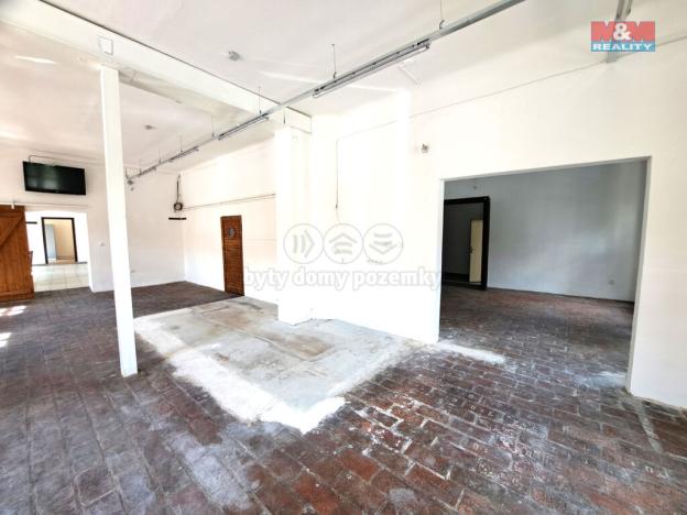 Pronájem obchodního prostoru, Brno - Královo Pole, Riegrova, 221 m2