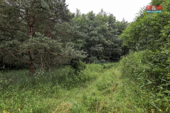 Prodej pole, Svárov, 11043 m2