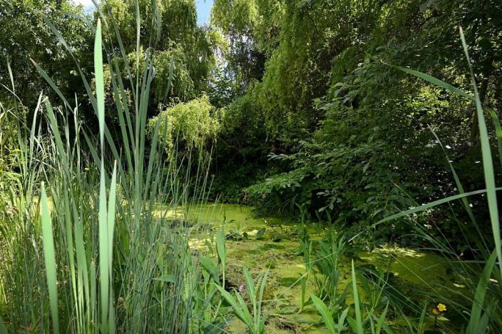 Pronájem rodinného domu, Světice, Na Spojce, 320 m2