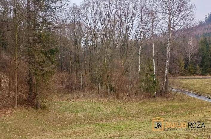 Prodej louky, Budišov nad Budišovkou, 8875 m2