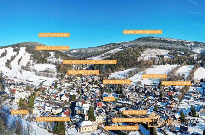 Prodej bytu 1+kk, Černý Důl, 28 m2