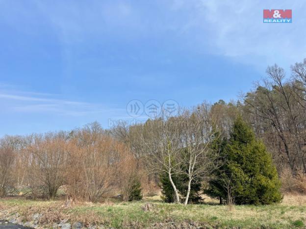 Prodej pozemku pro bydlení, Bílovec - Stará Ves, 2948 m2