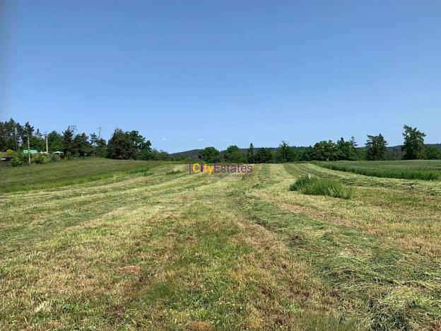 Prodej pozemku pro bydlení, Dublovice, 4428 m2