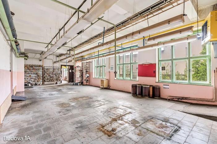 Pronájem komerční nemovitosti, Děčín, Rudolfova, 5199 m2