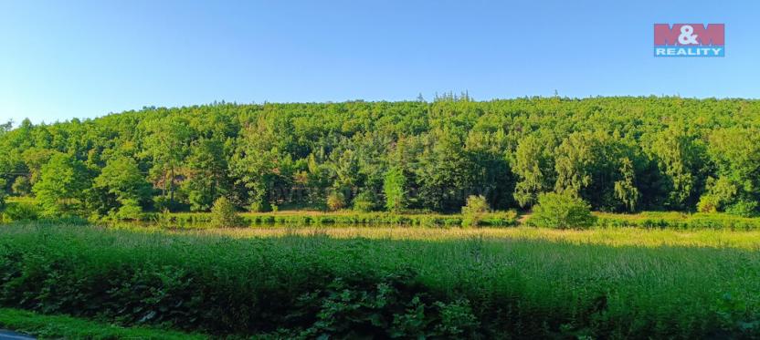 Prodej louky, Nižbor - Žloukovice, 1665 m2