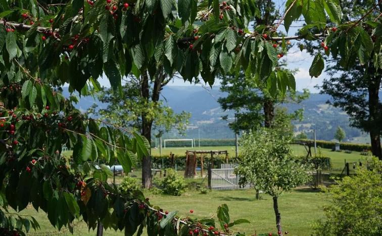 Prodej ubytování, Vysoké nad Jizerou, 165 m2