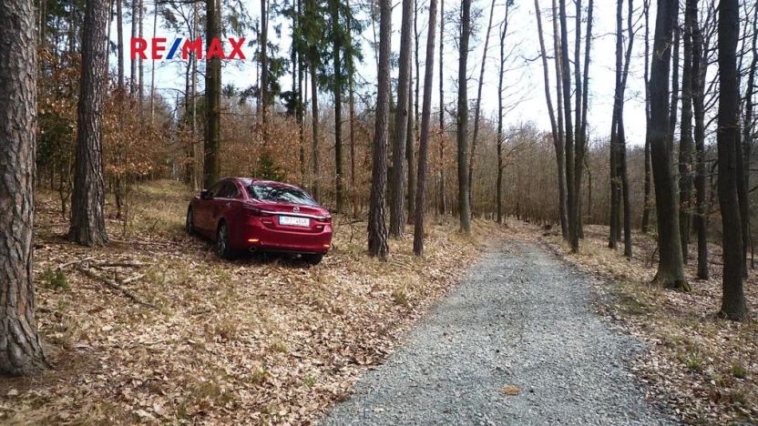 Prodej chaty, Plasy, 50 m2