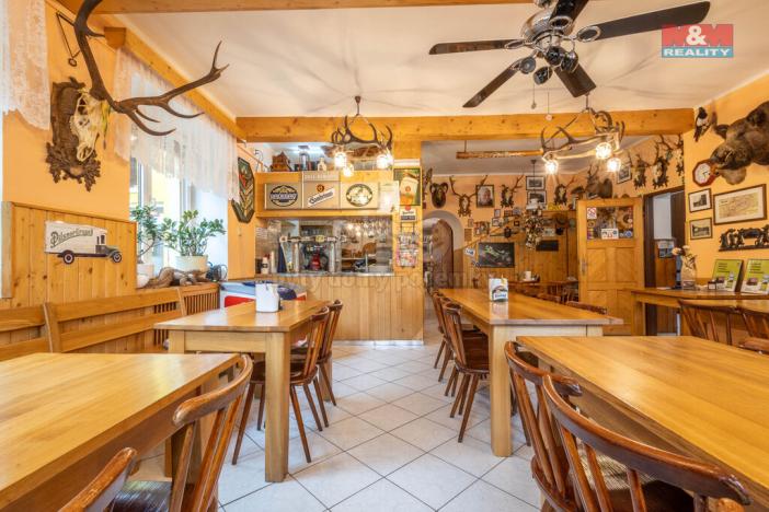 Prodej restaurace, Kyselka - Radošov, 15771 m2