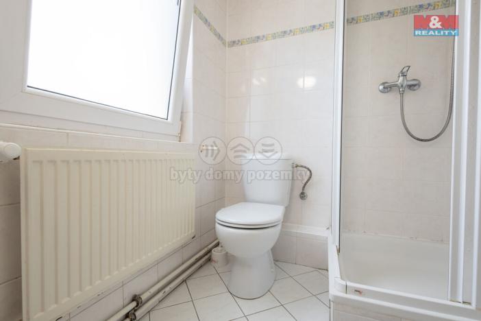 Prodej restaurace, Kyselka - Radošov, 15771 m2