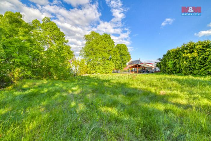 Prodej komerčního pozemku, Skalná, 1168 m2