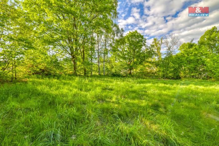 Prodej komerčního pozemku, Skalná, 1168 m2