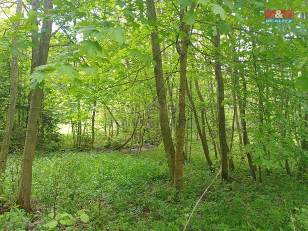 Prodej louky, Kořenov - Rejdice, 7967 m2