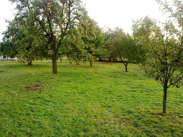 Prodej zahrady, Třebovle, 4295 m2