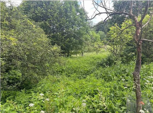Prodej pozemku pro bydlení, Uhelná, 180 m2