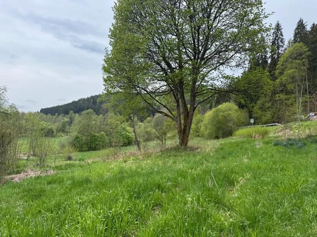 Prodej komerčního pozemku, Horní Vltavice, 14058 m2