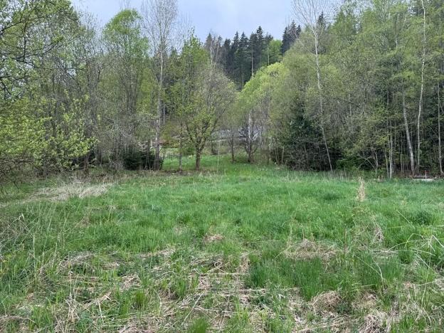 Prodej komerčního pozemku, Horní Vltavice, 14058 m2