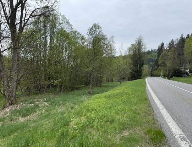 Prodej komerčního pozemku, Horní Vltavice, 14058 m2