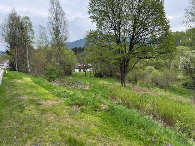 Prodej komerčního pozemku, Horní Vltavice, 14058 m2