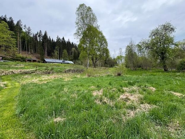 Prodej pozemku pro bydlení, Horní Vltavice, 7500 m2