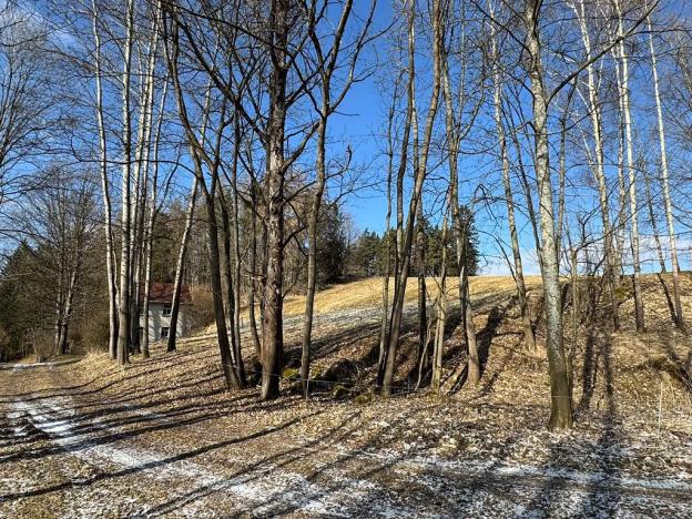 Prodej chalupy, Zdíkov, 120 m2