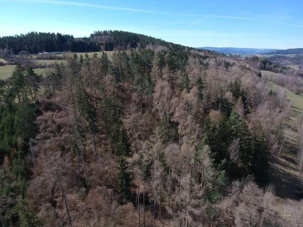 Prodej pole, Volyně, 20000 m2