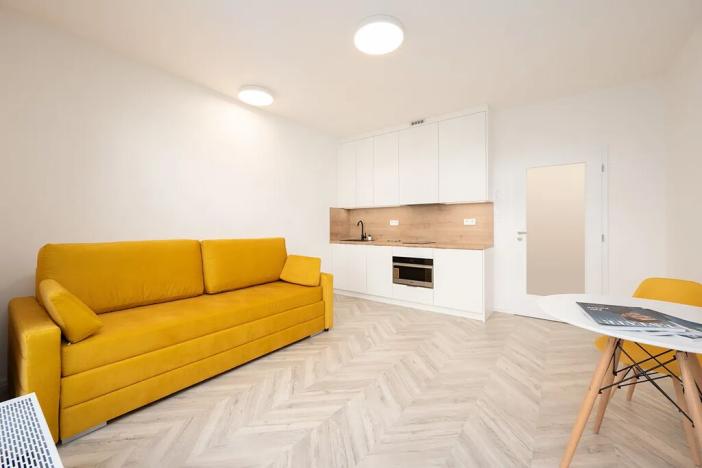 Pronájem bytu 1+kk, Brno, Cejl, 30 m2