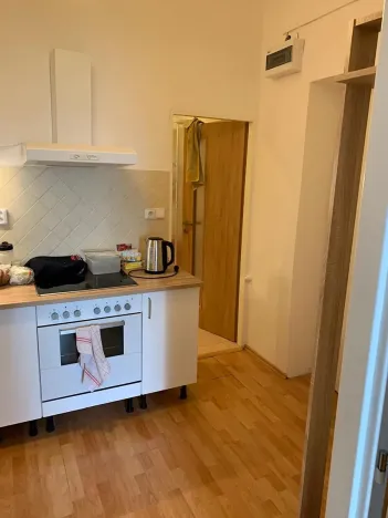Pronájem bytu 1+1, Brno, Solniční, 30 m2