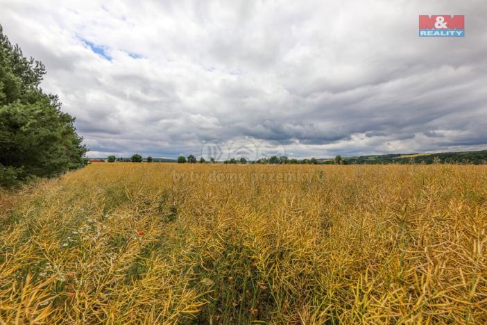 Prodej pole, Chrást, 11929 m2