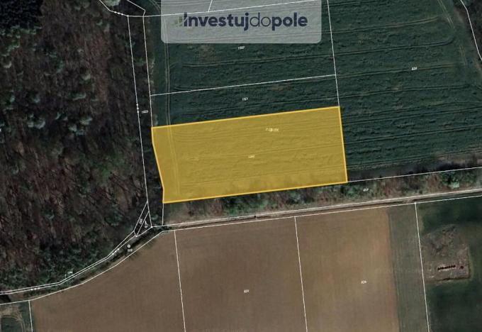 Prodej pole, Chýnice, 2550 m2