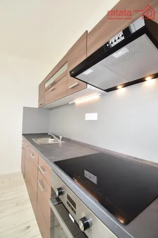 Pronájem bytu 2+1, Chomutov, Kamenný vrch, 58 m2