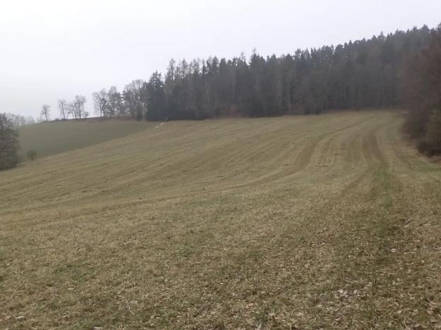 Dražba pole, Zvěstov, 22738 m2