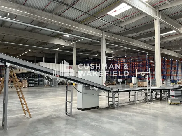 Prodej skladu, Nová Paka, 9000 m2