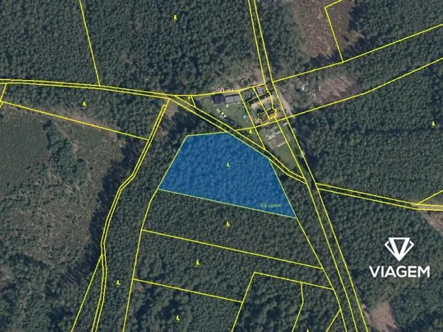 Prodej podílu lesa, Bělá pod Bezdězem, 1634 m2