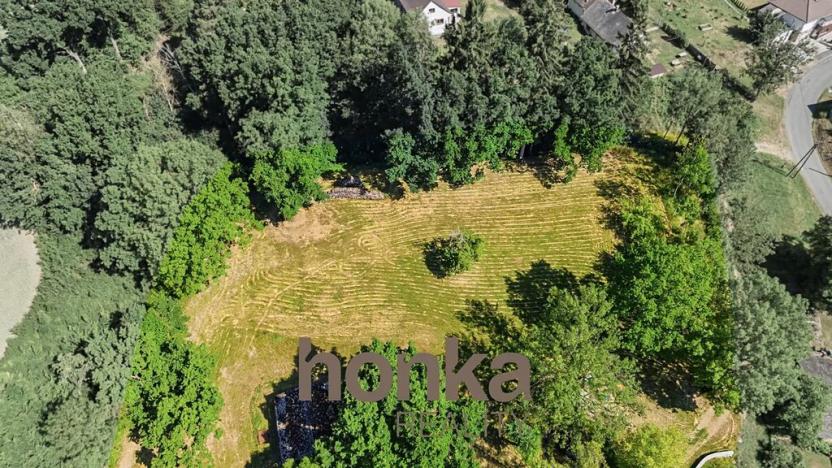 Prodej pozemku pro bydlení, Otov, 3000 m2