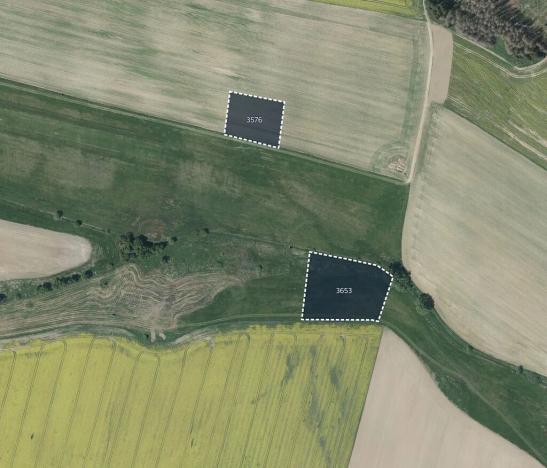 Prodej louky, Pavlov, 12071 m2