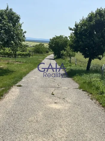 Prodej zahrady, Svatobořice-Mistřín, 2383 m2