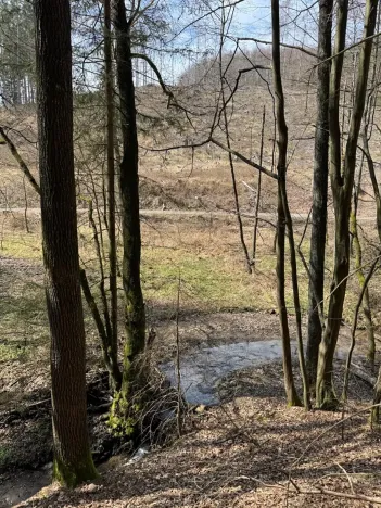 Prodej lesa, Ledeč nad Sázavou, 3240 m2