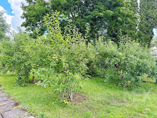 Prodej bytu 2+1, Choceň, Stromovka, 51 m2