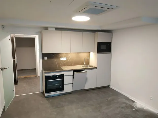 Pronájem bytu 1+kk, Brno, Budínská, 26 m2