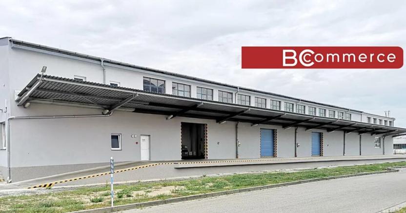 Pronájem skladu, Břeclav, Mládežnická, 3164 m2